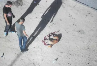 Siete detenidos y 81 perros rescatados en Ávila en una operación contra el robo y maltrato de galgos