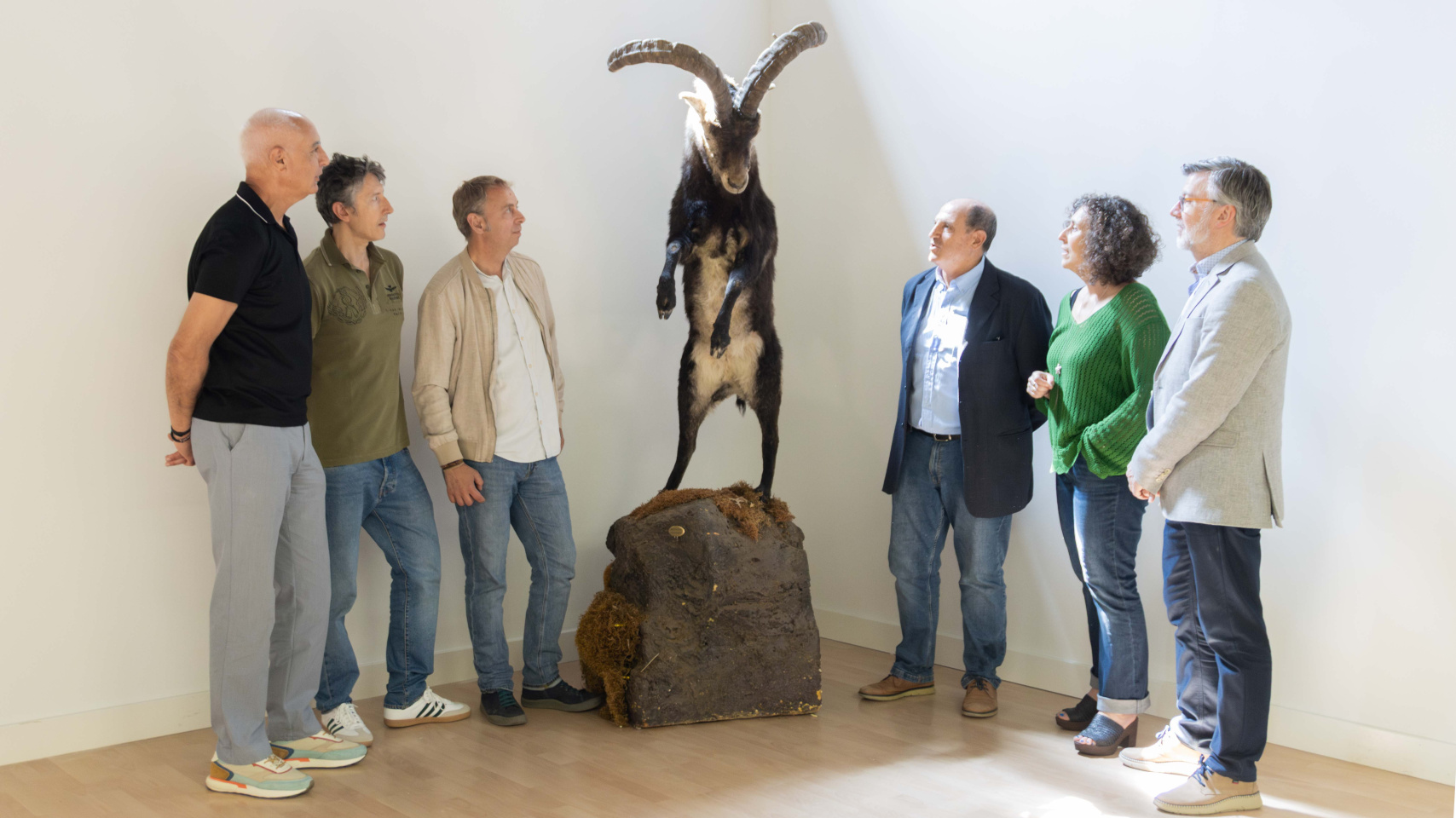 Cabra mont&eacute;s disecada que formar&aacute; parte del futuro Espacio Expositivo Permanente de su Patrimonio Cultural | Comunicaci&oacute;n Universidad de Salamanca 