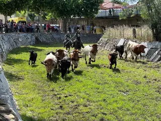 Encierro a caballo en Sancti Spíritus, lunes 12 de junio.