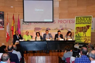 Vacuno de carne 710x473 (1)
