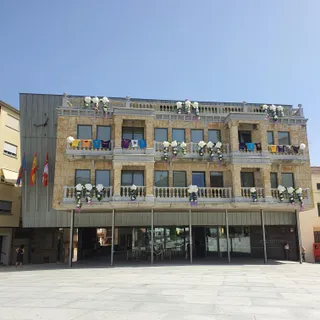 CAMISETAS PEÑAS EN AYUNTAMIENTO