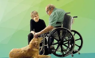 Triever-can imparte este fin de semana un seminario sobre terapia con perros