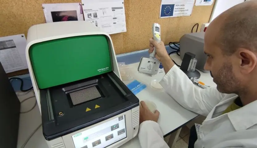 El IRNASA-CSIC de Salamanca crea un Servicio de Bioinformática y Edición Génica para la mejora de cultivos