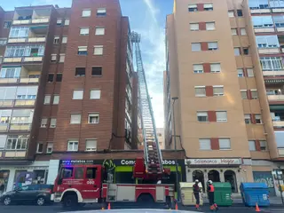 Intervención de los Bomberos por un avispero en Federico Anaya