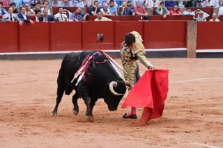 Ismael Martín, Marco Pérez y el aclamado regreso de Morante de la Puebla: su paso por La Glorieta en imágenes | Andrea Mateos