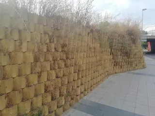 IMG 20200624 WA0000