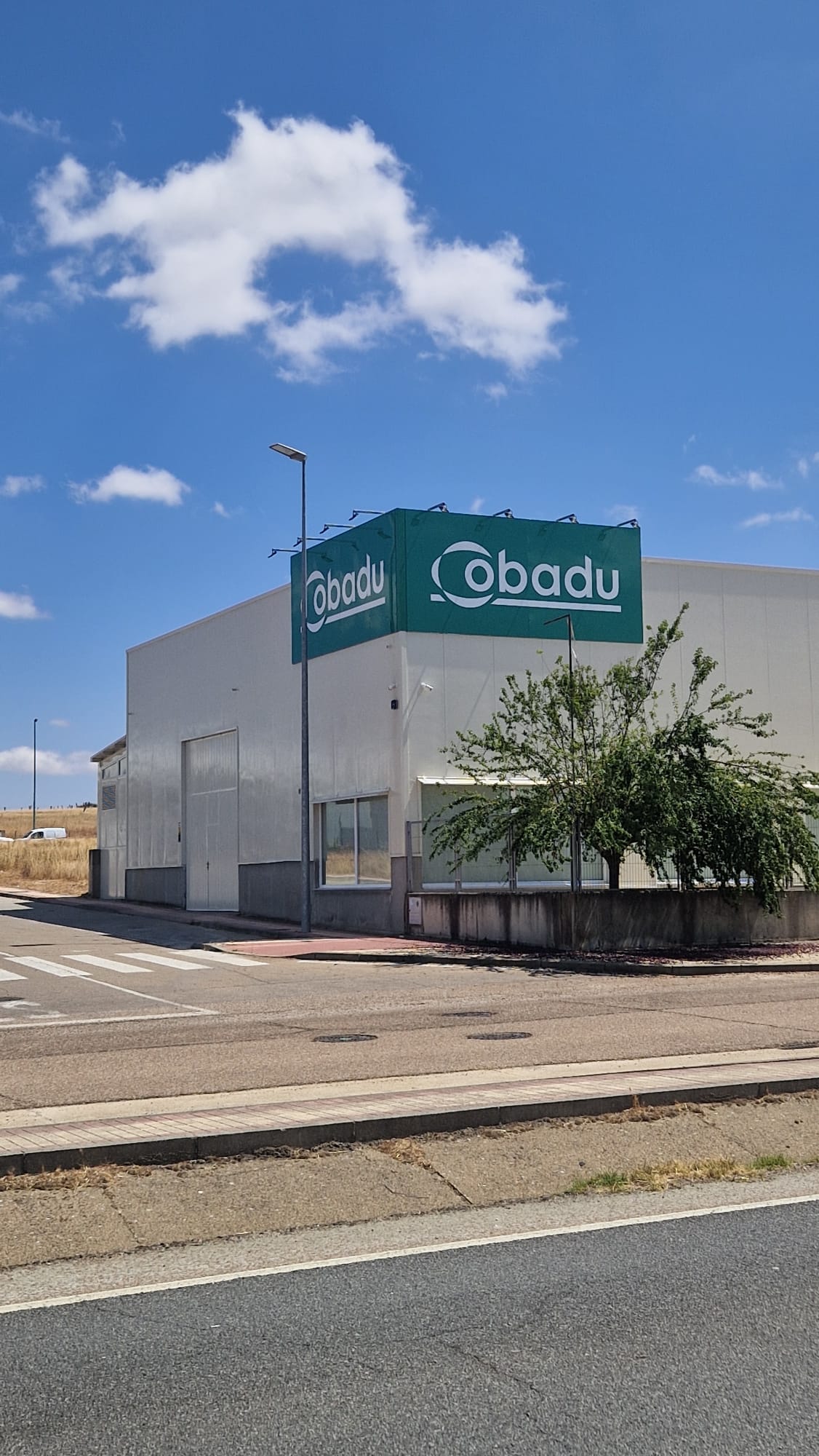 Cobadu (2)