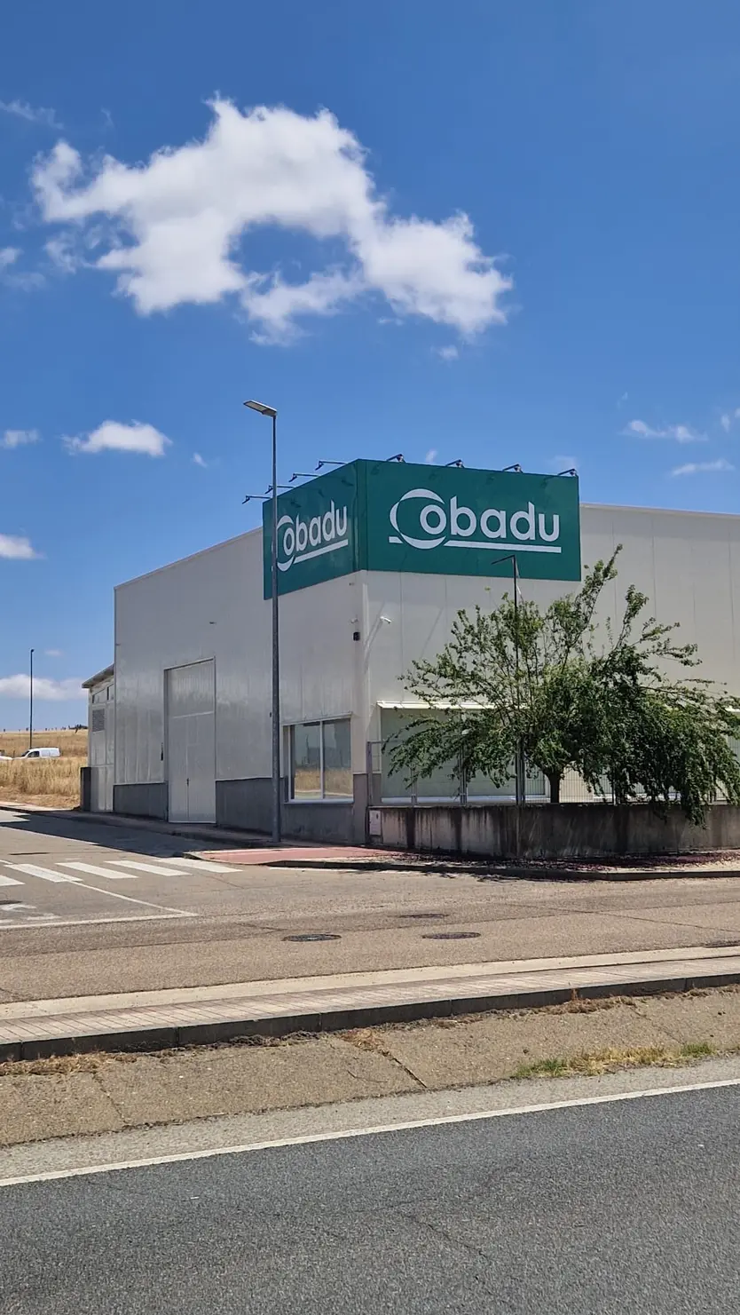 Cobadu (2)