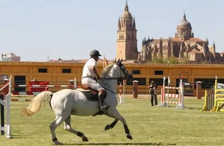 El Concurso Hípico Nacional de Saltos de Obstáculos regresará un año más en septiembre