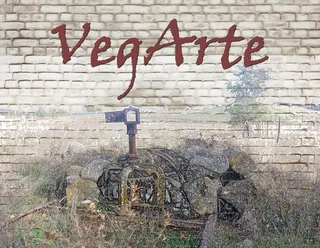 VEGARTE