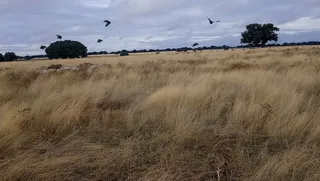 IMG 20181107 WA0011
