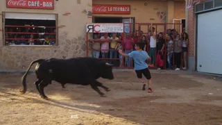 Fiestas en Topas 2017: toro de cajón