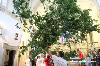 Romería del Ramo y ofrenda Villamayor (21)