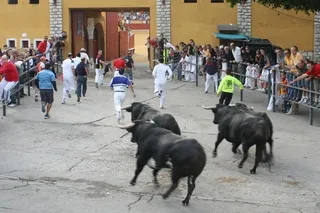 Un muerto de una cornada en el corazón en el primer encierro taurino de Cuéllar