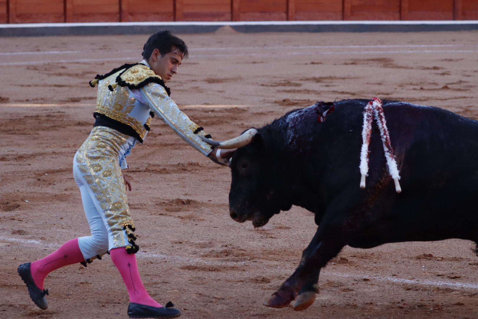 Ismael Mart&iacute;n parando a su primer toro tras un gran tercio de banderillas | Asier Galache