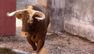 Cuarto toro para Morante de la Puebla. Fotos S24H