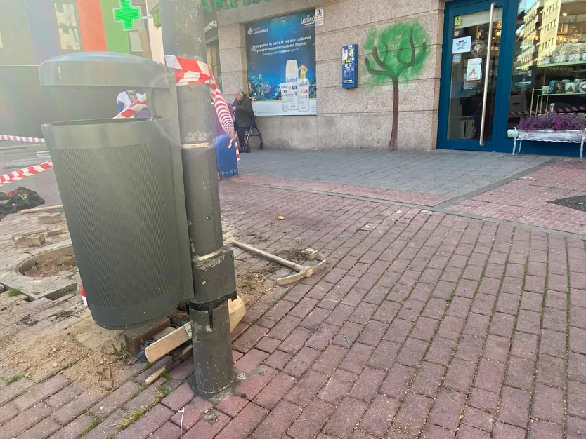 Árbol pintado en una tienda de la plaza del Oeste
