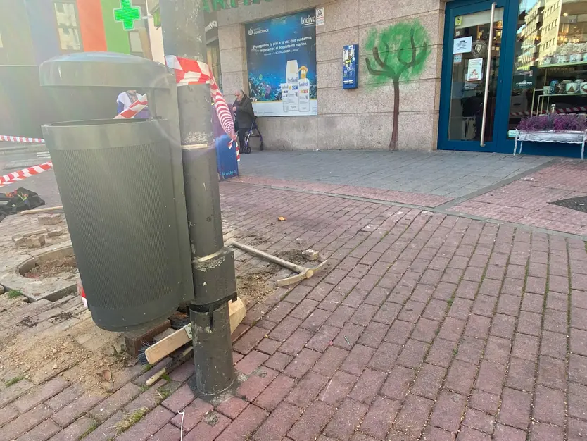 Árbol pintado en una tienda de la plaza del Oeste