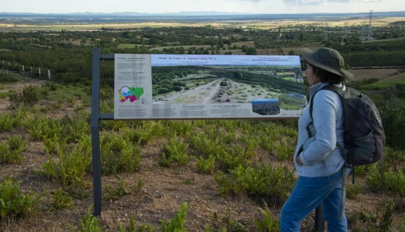 Mirador y panel