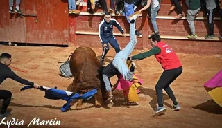 El novillero mirobrigense Pérez Pinto ejerciendo de director de lidia en el Carnaval del Toro de Ciudad Rodrigo de 2023. Fotografía Lydia Martín