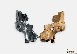 Descubren en Atapuerca la cara más antigua de Europa occidental