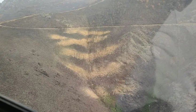 helimulching+en+el+terreno (2)