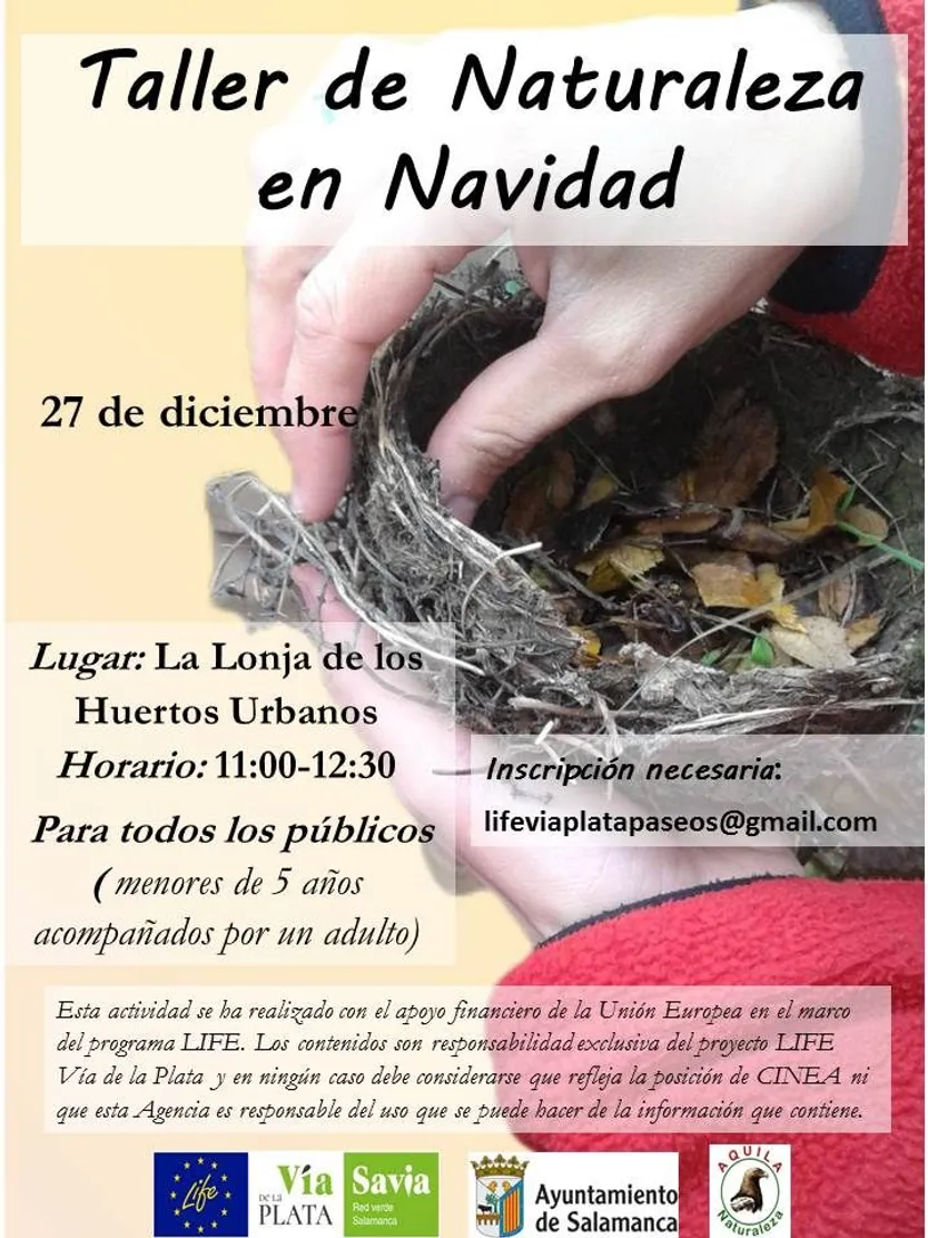 Cartel Taller de Naturaleza en Navidad