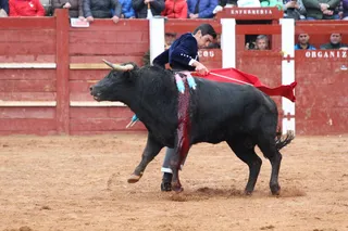 Festival taurino con picadores Cayetano Rivera, Perera y Ureña