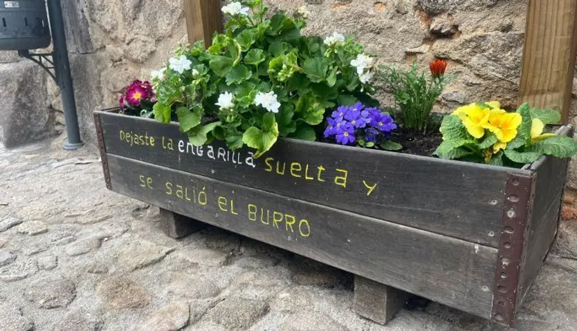  Exposición etnobotánica San Martín del Castañar
