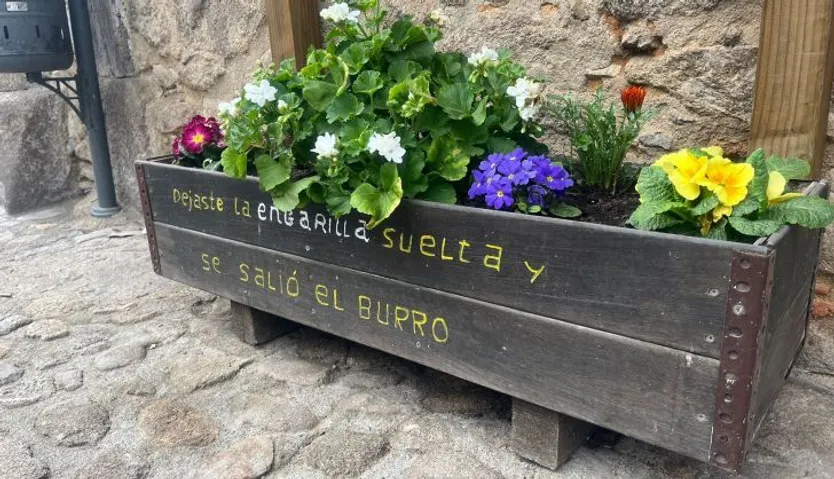 Exposición etnobotánica San Martín del Castañar