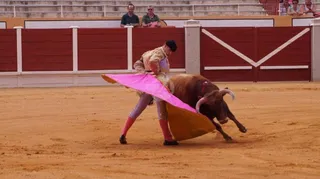 Oreja para Rubén Blázquez y El Rafi en Peñaranda de Bracamonte