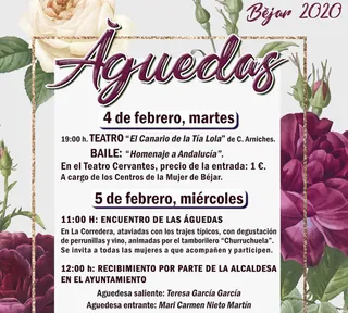 CARTEL ÁGUEDAS 2020