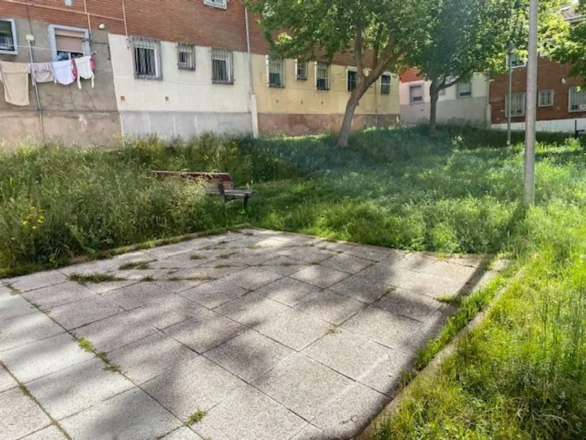Vecinos del Carmen y Nicar denuncian abandono de jardines y maleza sin podar