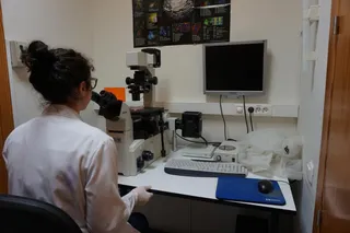 Investigacion (9)