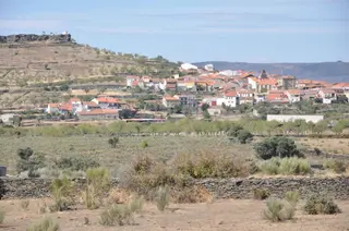 vilvestre