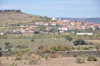 vilvestre