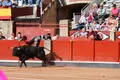 Adelaida Rodríguez en Salamanca | BMF TOROS