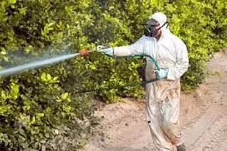 Pesticidas químicos.