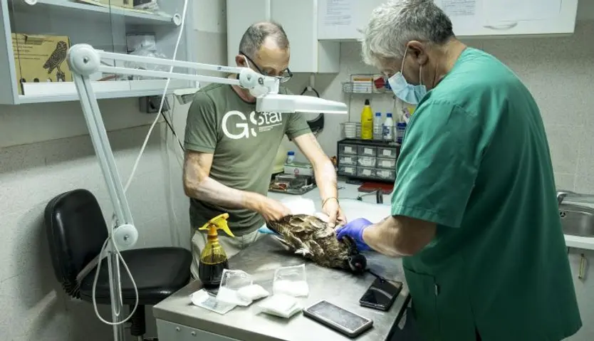 Veterinarios de Las Dunas
