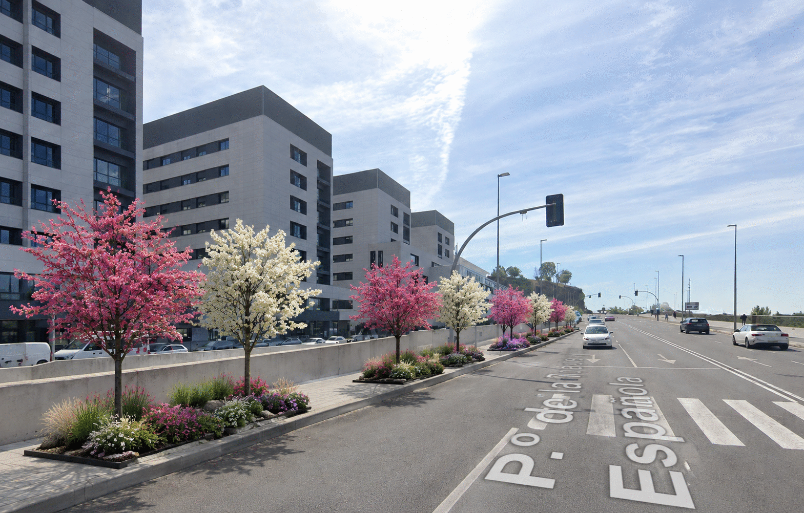 Parterres Vial Hospital