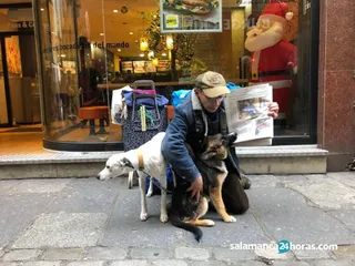 Angelillo con sus perros