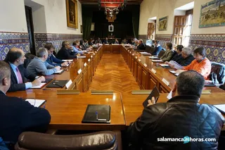Pleno cámara de comercio (2)