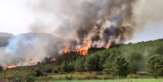 Incendio en Herguijuela de la Sierra
