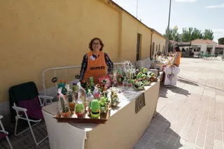Concurso de tartas en Doñinos
