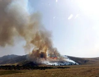 Incendio de Navalacruz (Ávila) (2)