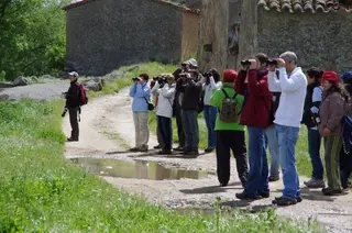 Turismo