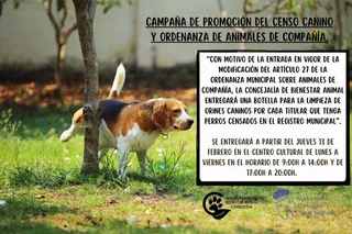 Cartel campaña