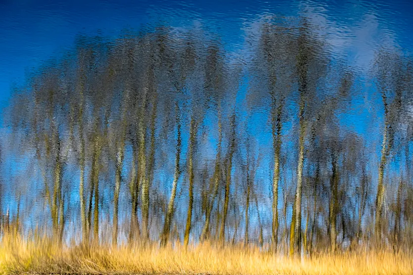 Respira. 2º Accésit