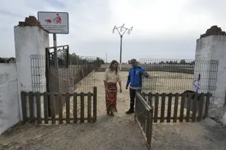 Pipican en Santa Marta de Tormes 