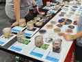 Taller ‘Conociendo la biodiversidad de los cultivos de nuestra tierra’ realizado por el área de producción vegetal de la Universidad de Salamanca | Universidad de Salamanca